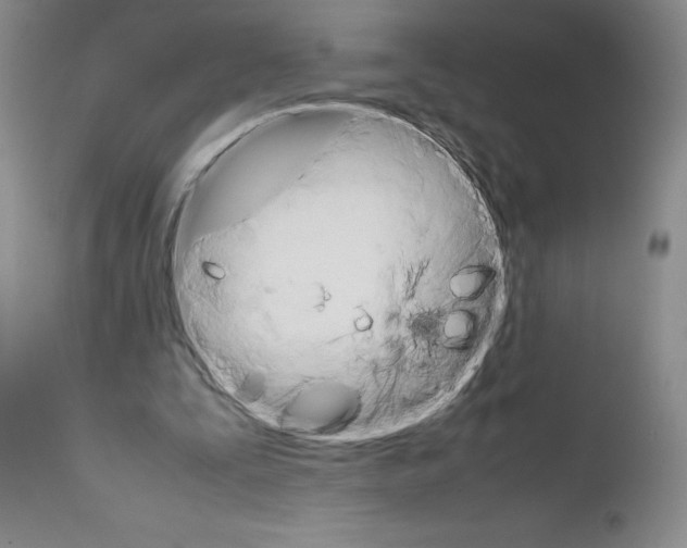 X0000111680295200908281142