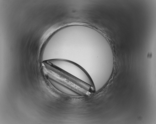 X0000111680296200908281142