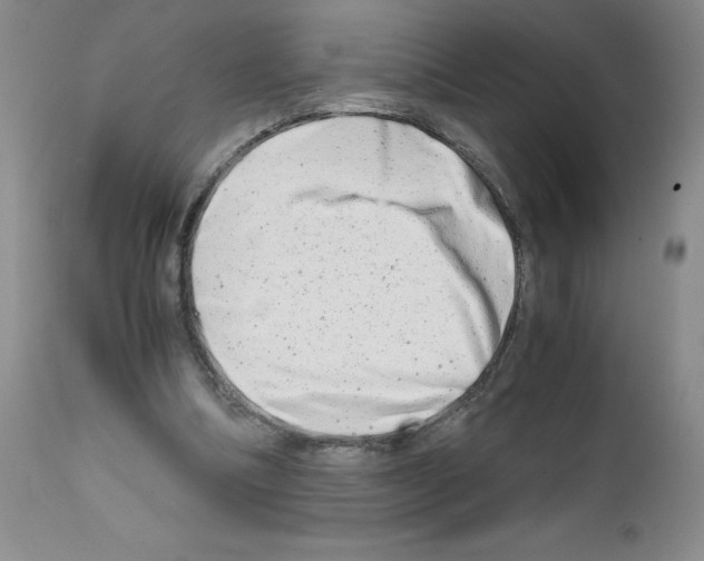 X0000111680298200908281142