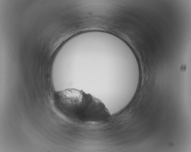 X0000111680299200908281142