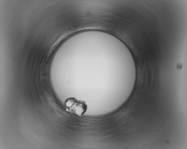 X0000111680300200908281142