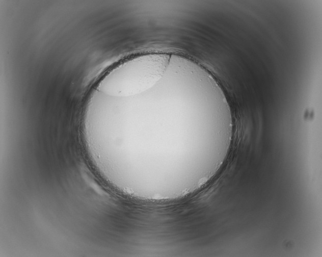 X0000111680302200908281142