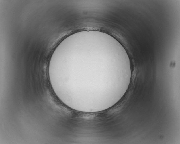 X0000111680306200908281142