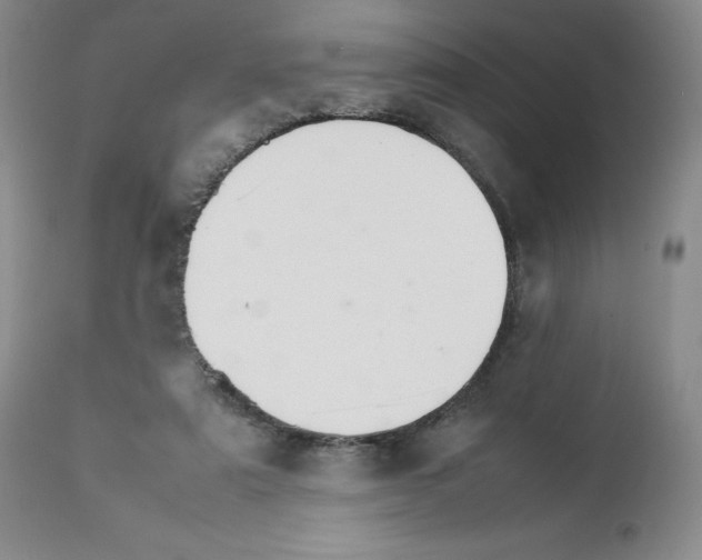 X0000111680307200908281142