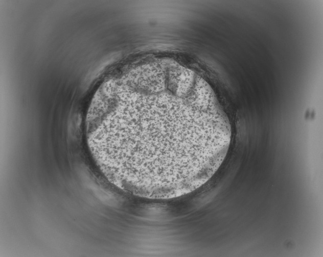 X0000111680308200908281142