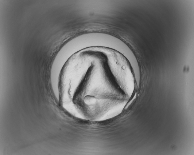 X0000111680309200908281142