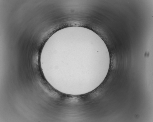 X0000111680310200908281142