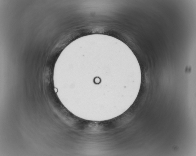 X0000111680311200908281142