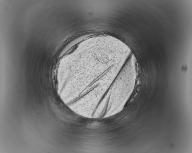 X0000111680312200908281142