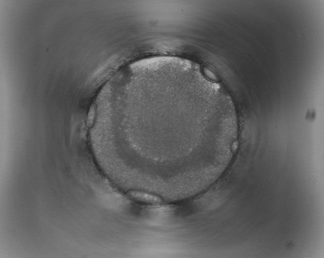 X0000111680313200908281142