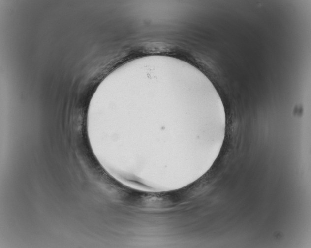 X0000111680315200908281142