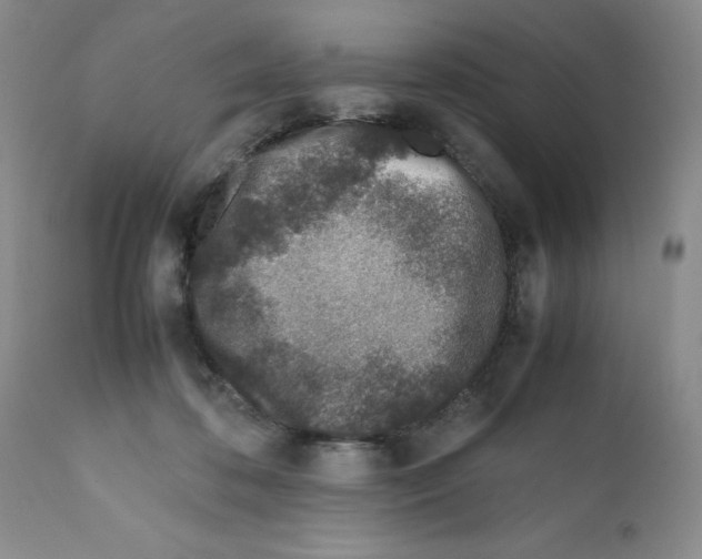 X0000111680316200908281142