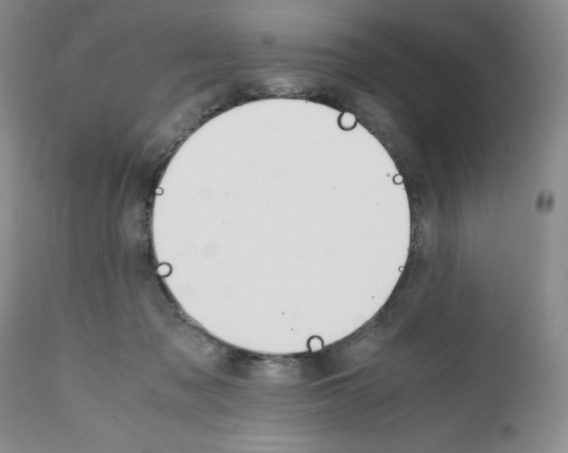 X0000111680317200908281142