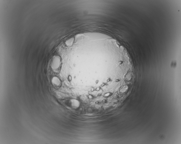 X0000111680319200908281142