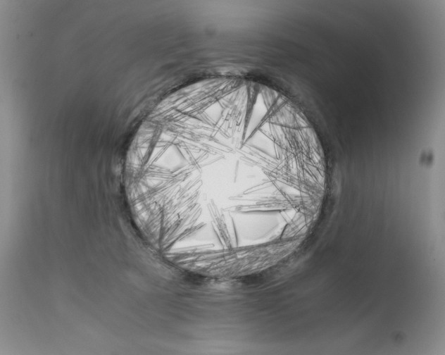 X0000111680321200908281142