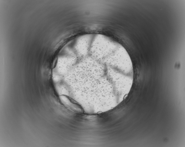 X0000111680324200908281142