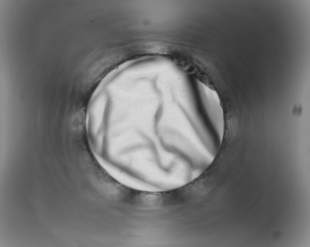 X0000111680325200908281142