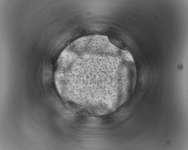 X0000111680328200908281142