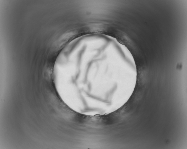 X0000111680329200908281142