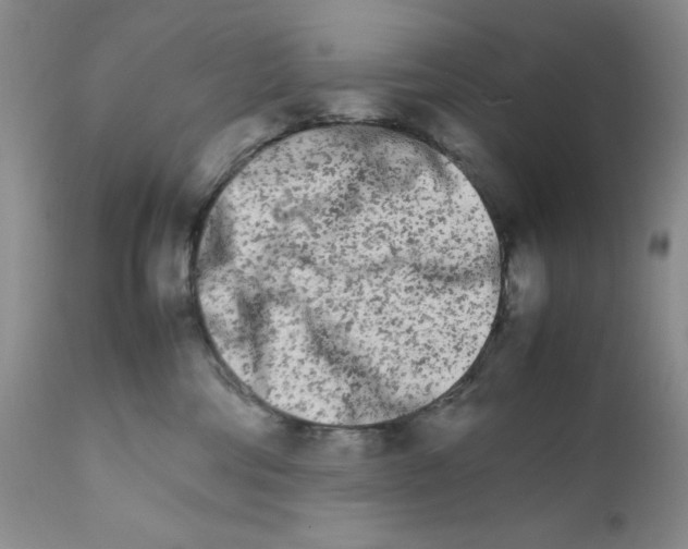 X0000111680330200908281142