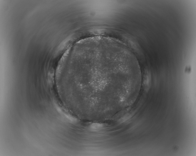 X0000111680332200908281142