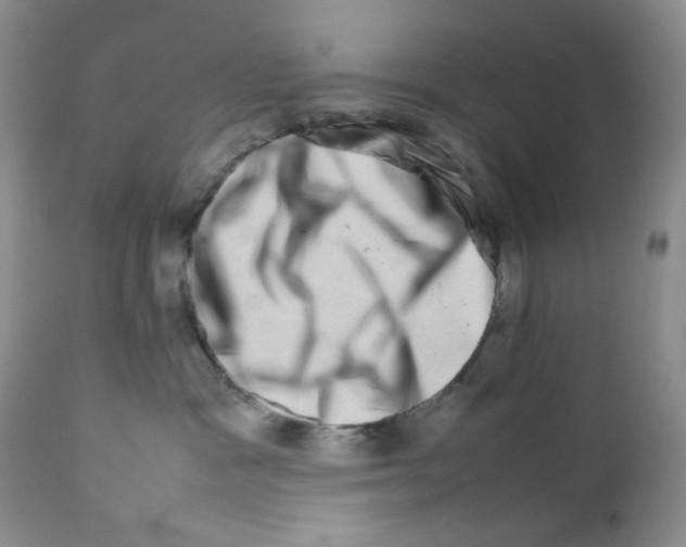 X0000111680333200908281142