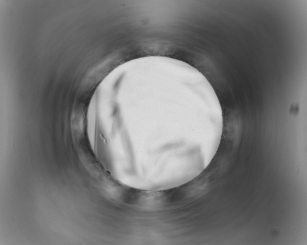 X0000111680334200908281142