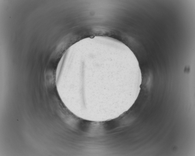 X0000111680335200908281142