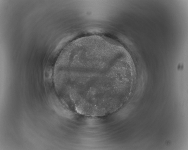 X0000111680336200908281141