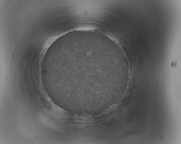 X0000111680337200908281141