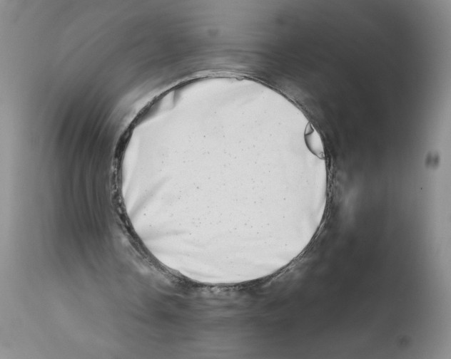 X0000111680338200908281141