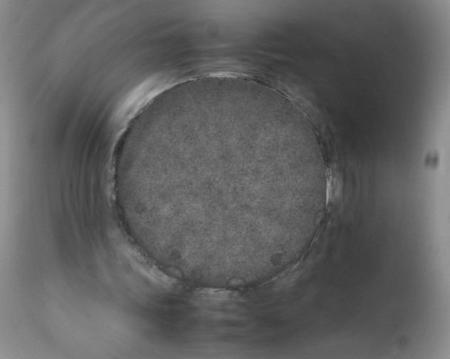 X0000111680339200908281141