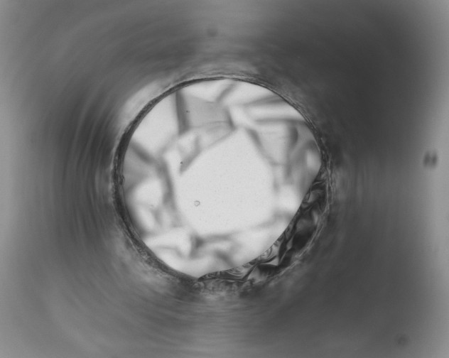 X0000111680340200908281141