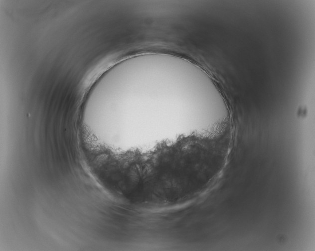 X0000111680341200908281141