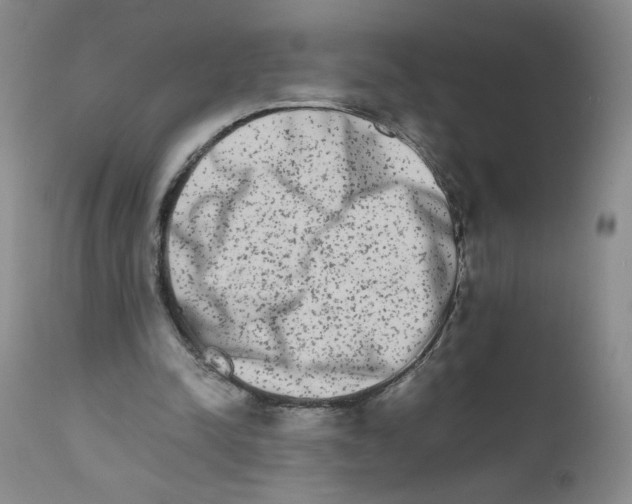 X0000111680342200908281141