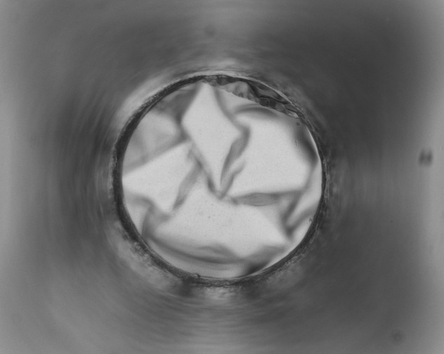 X0000111680344200908281141