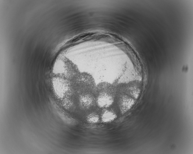 X0000111680345200908281141