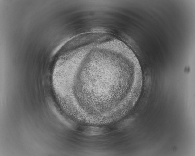 X0000111680347200908281141