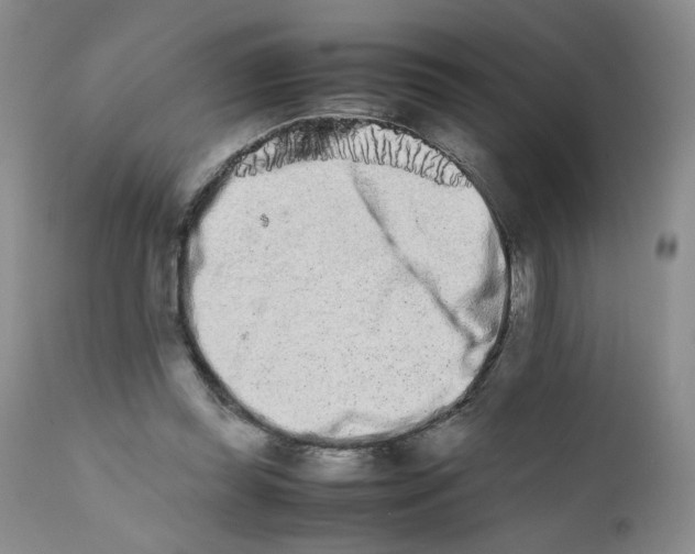 X0000111680349200908281141