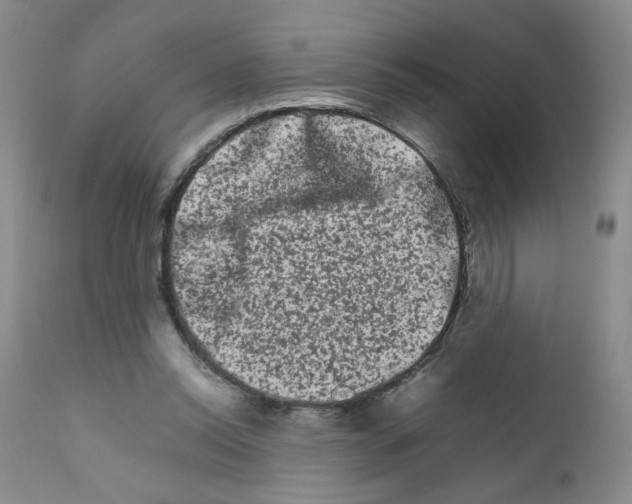 X0000111680350200908281141