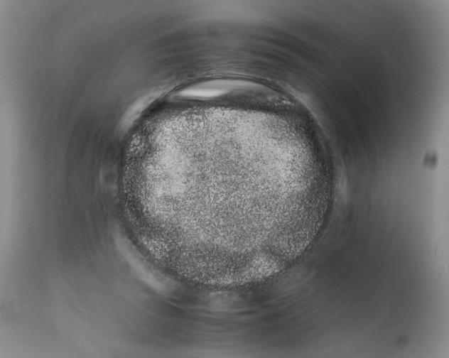 X0000111680353200908281141