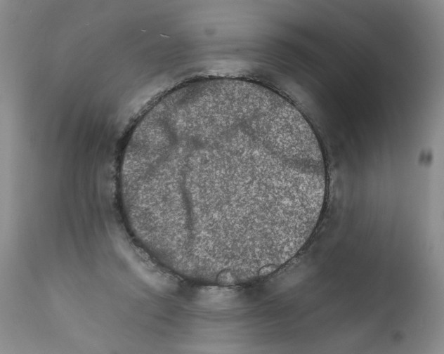 X0000111680354200908281141