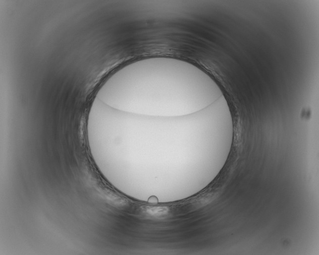 X0000111680355200908281141