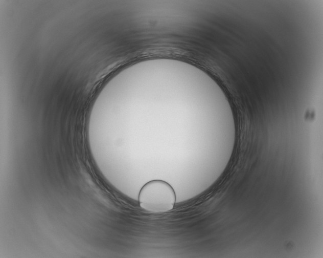 X0000111680356200908281141