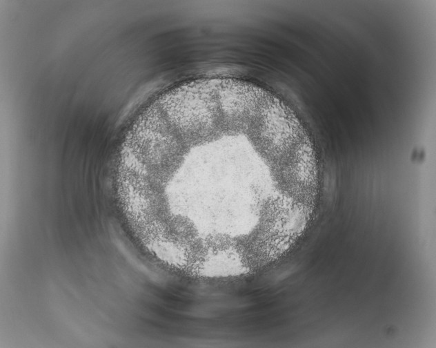 X0000111680357200908281141