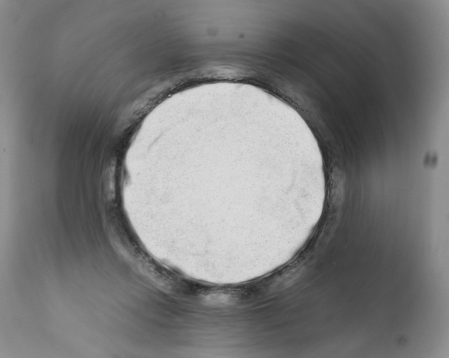 X0000111680358200908281141