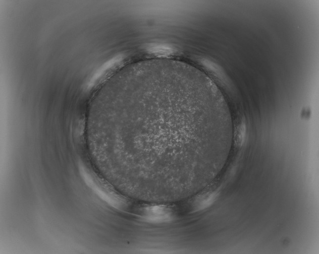 X0000111680365200908281141