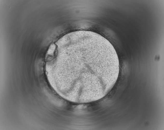 X0000111680366200908281141