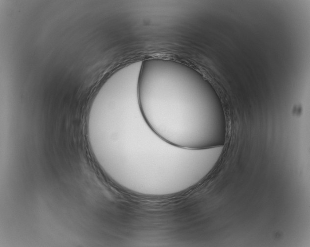 X0000111680368200908281141