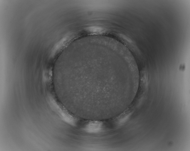 X0000111680369200908281141